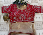 Silk Saree with Designer Blouse