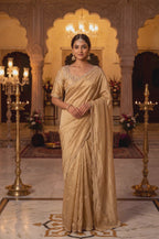 Silk Saree with Designer Blouse
